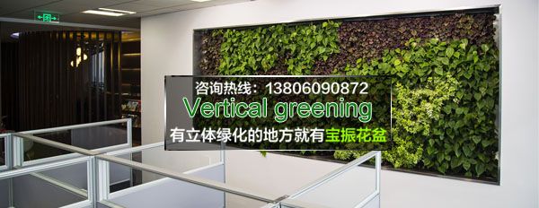 上海环球金融中心墙面垂直立体绿化