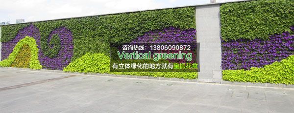 广州墙面垂直立体绿化