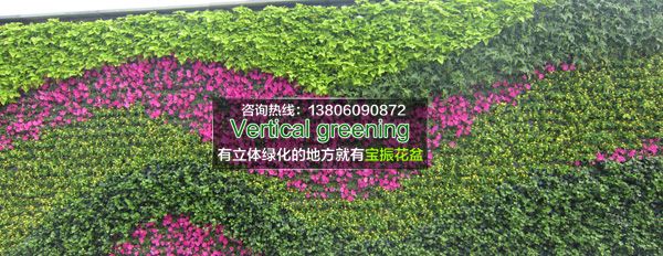 杭州室外墙面垂直立体绿化