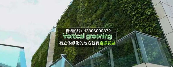 宁夏室外墙面垂直立体绿化