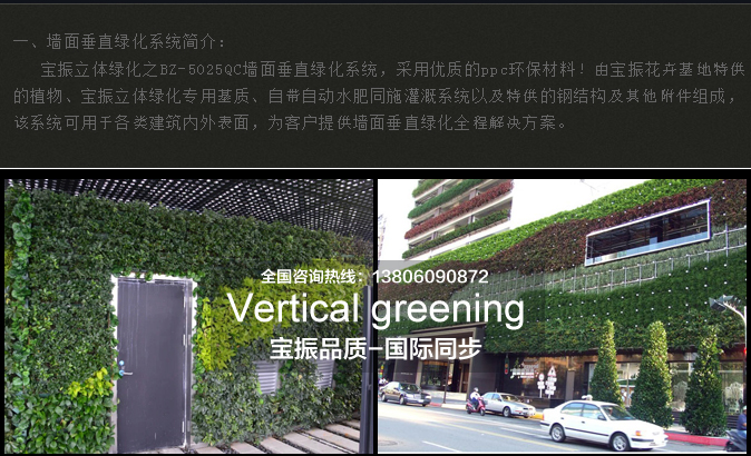 垂直绿化花盆植物墙植物搭配的基础知识