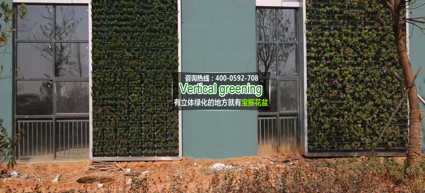 江西南昌室外墙面立体绿化