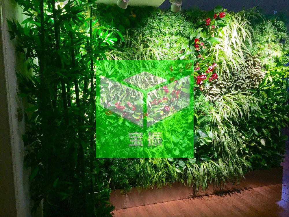 垂直绿化植物墙，的三大核心价值