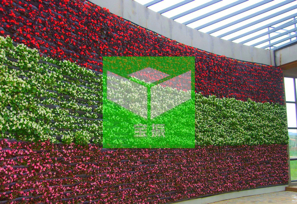 MTQ1ODY2NjA0MTc0MDE5ODk3NzI2NTc=.jpg MTQ1ODY2NjA0MTc0MDE5ODk3NzI2NTc=.jpg