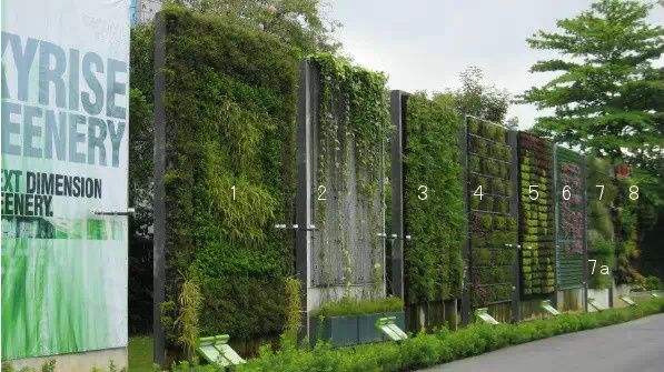 这样做垂直绿化植物墙让你的绿植美上天